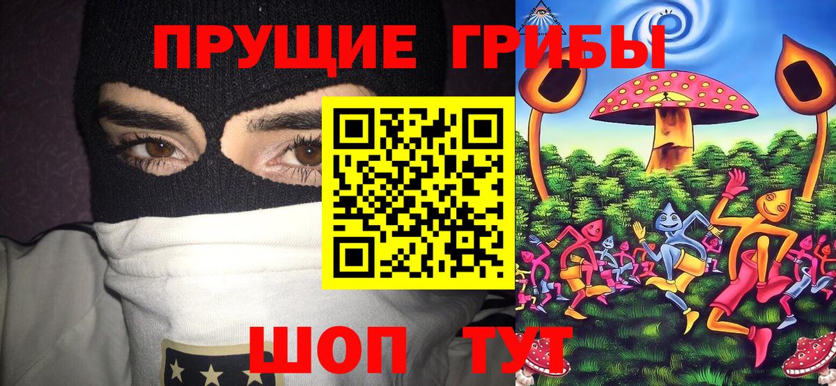 Псилоцибиновые грибы мицелий Будённовск