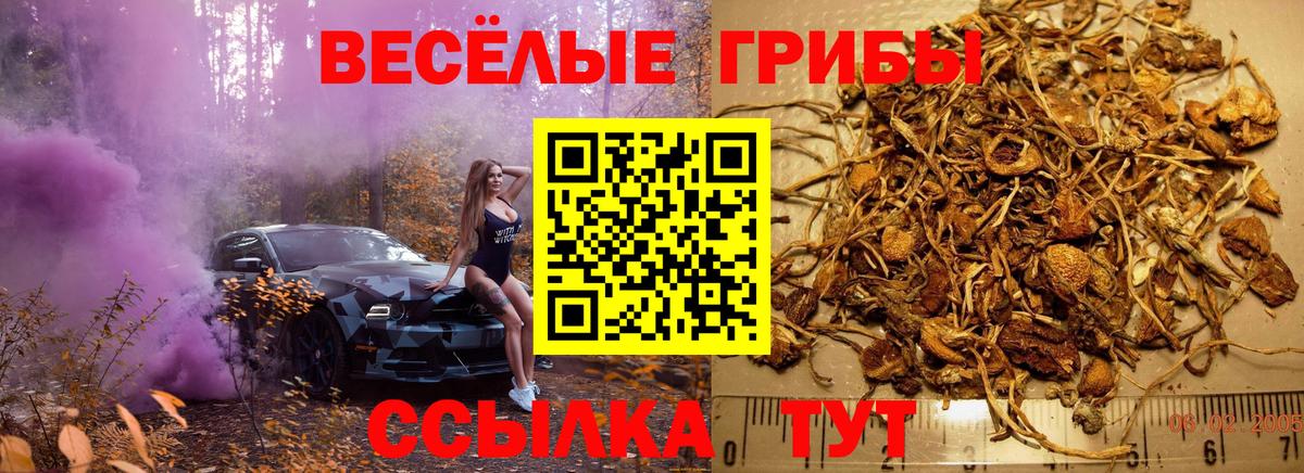 Галлюциногенные грибы мицелий  Вход с VPN  Будённовск  Псилоцибиновые грибы мухоморы 
