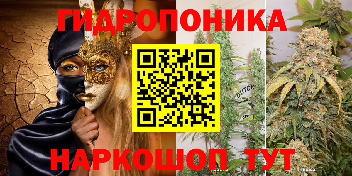 Канабис семена Будённовск